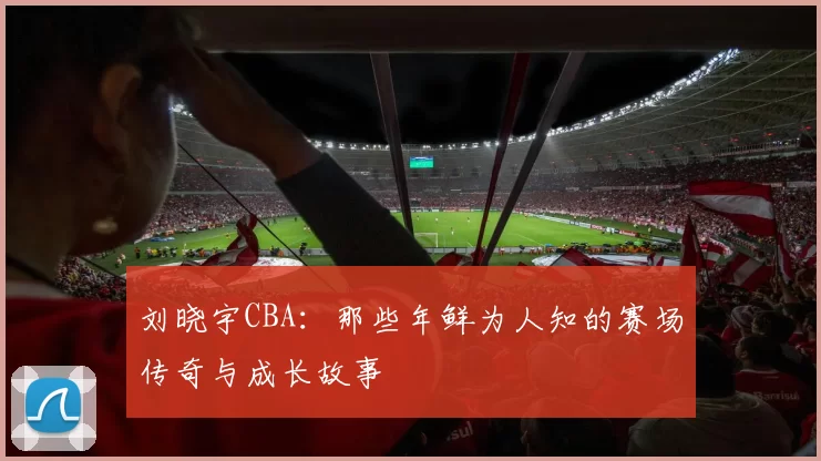 刘晓宇CBA：那些年鲜为人知的赛场传奇与成长故事