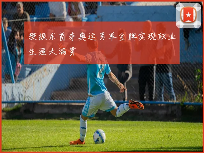 樊振东首夺奥运男单金牌实现职业生涯大满贯