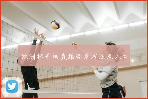 欧洲杯手机直播观看方法及入口