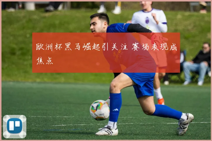 欧洲杯黑马崛起引关注 赛场表现成焦点