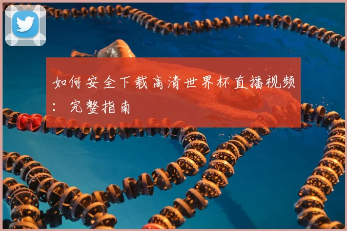 如何安全下载高清世界杯直播视频：完整指南