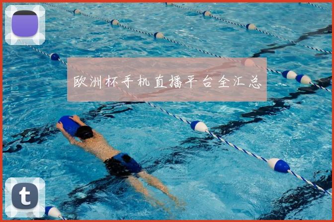 欧洲杯手机直播平台全汇总